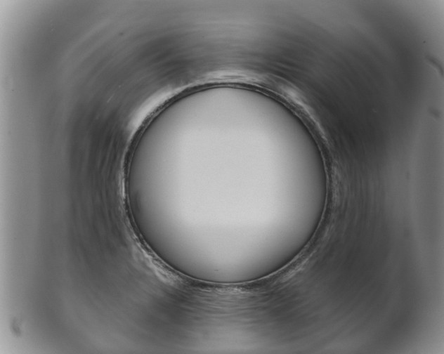 X0000102521328200808081021