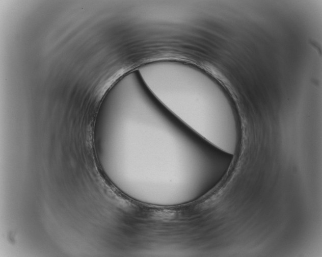X0000102521329200808081021