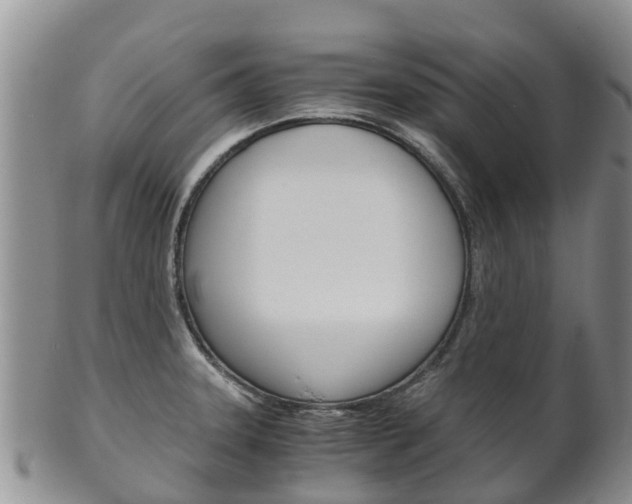 X0000102521331200808081021