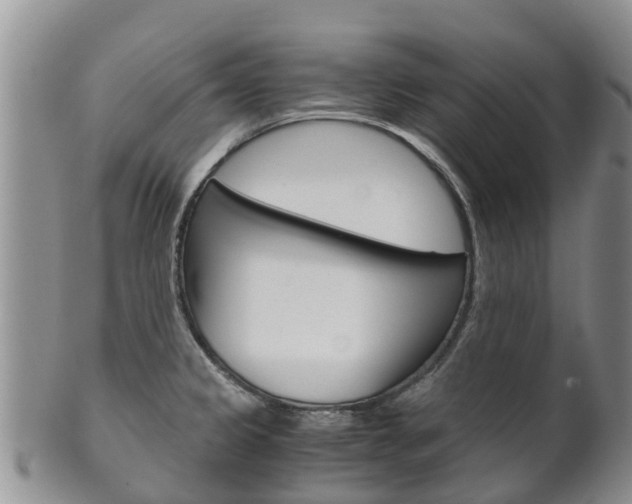 X0000102521333200808081021