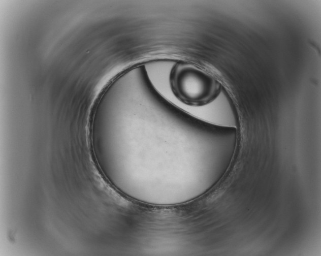 X0000102521334200808081021