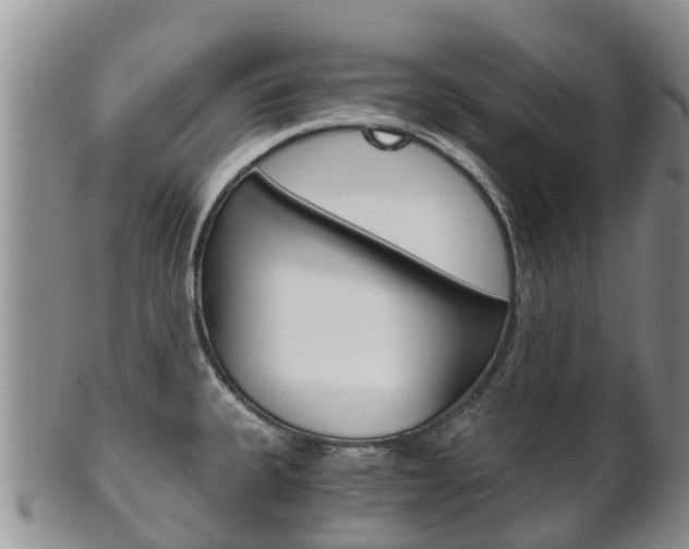 X0000102521335200808081021