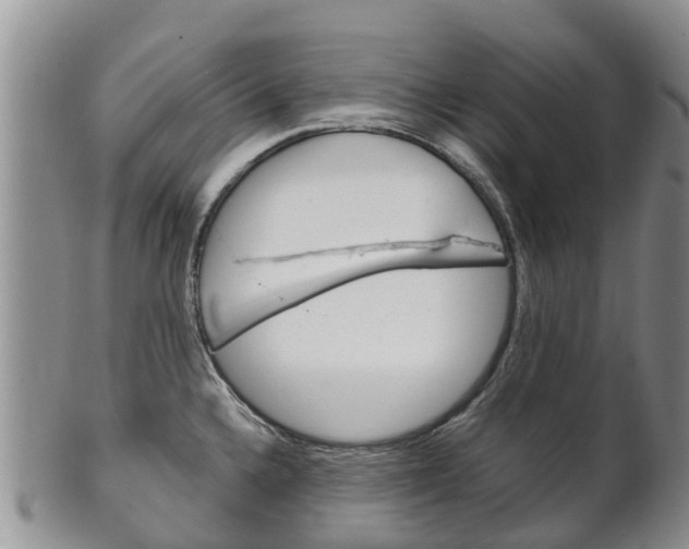 X0000102521336200808081021