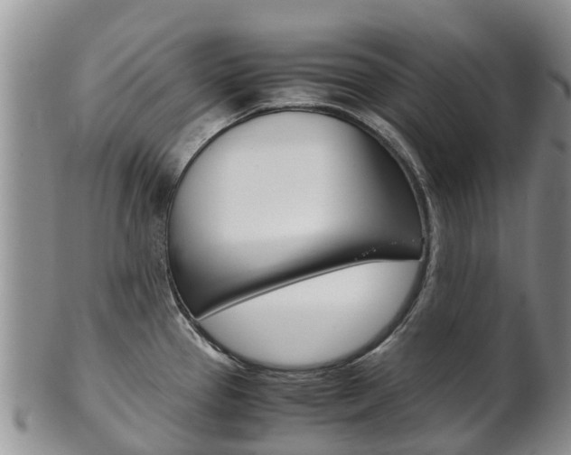 X0000102521337200808081021
