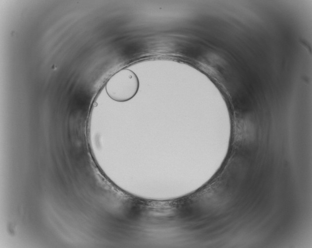 X0000102521338200808081021