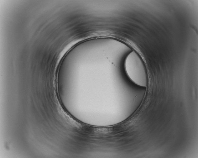 X0000102521339200808081021