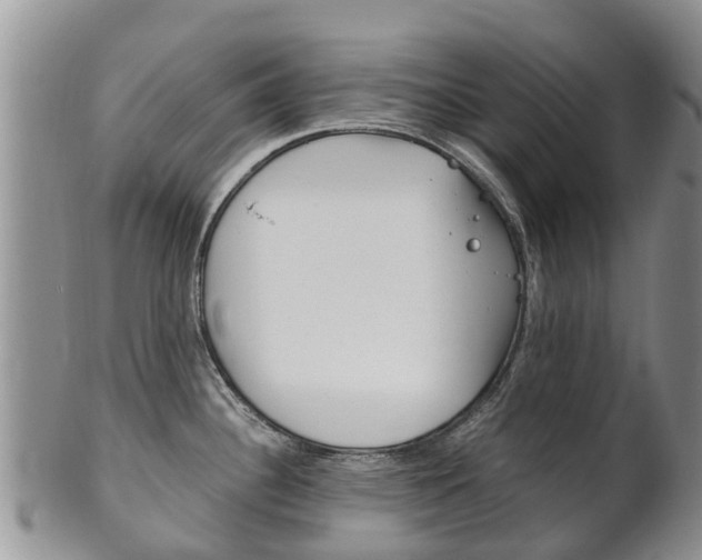 X0000102521340200808081021