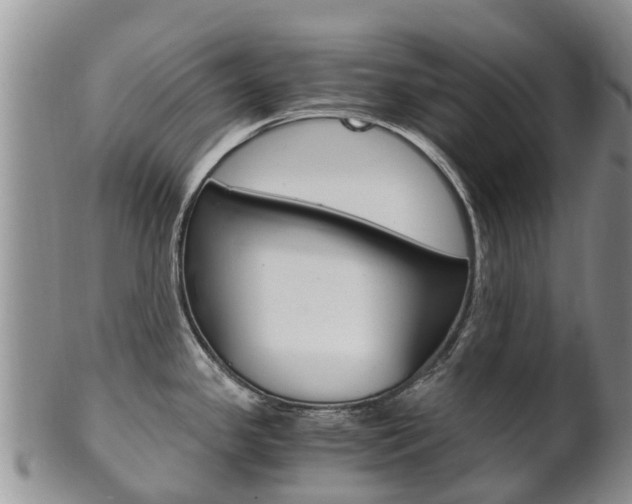 X0000102521341200808081021