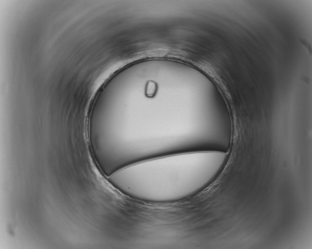 X0000102521342200808081021