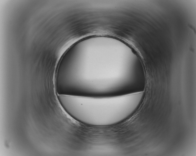 X0000102521343200808081021