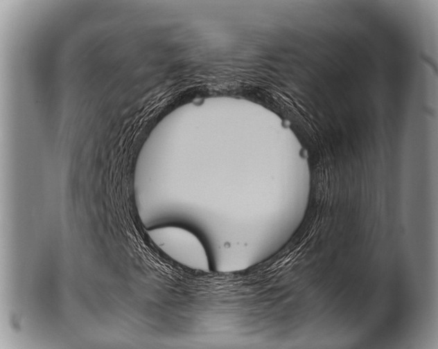 X0000102521345200808081020