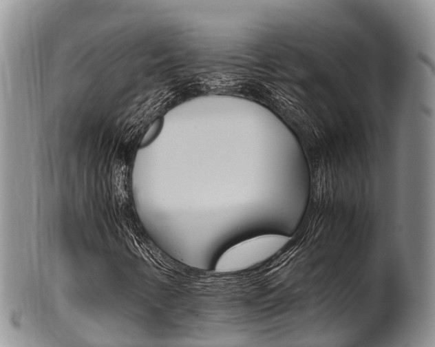 X0000102521346200808081020