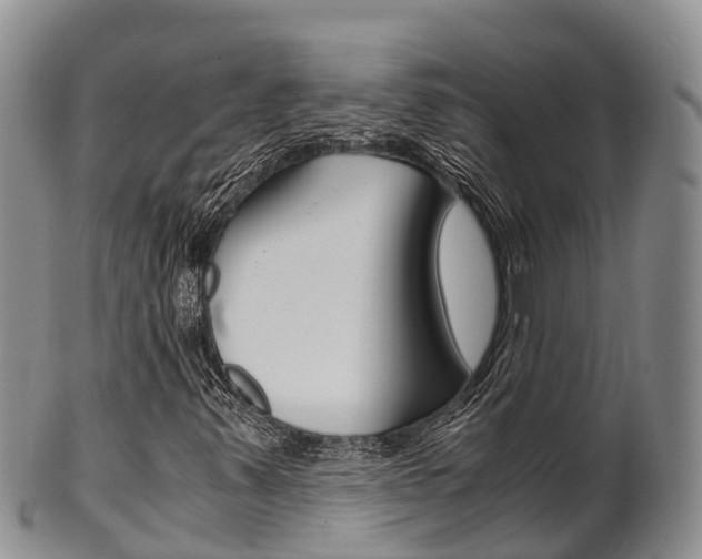 X0000102521347200808081020