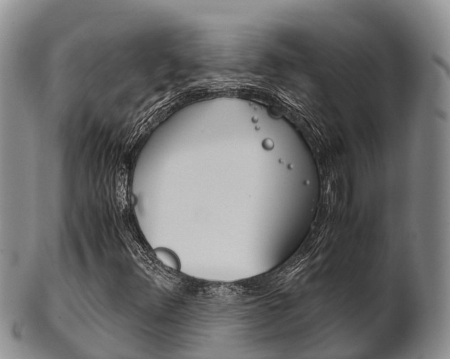 X0000102521348200808081020