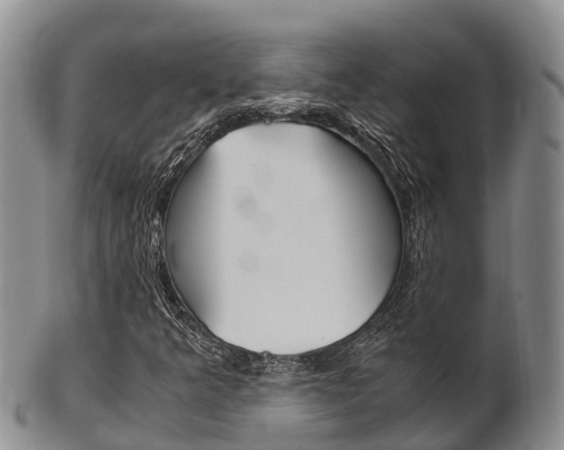 X0000102521349200808081020