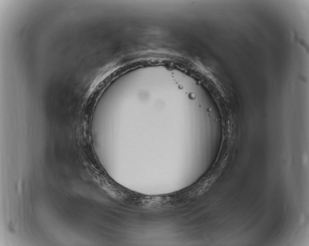 X0000102521352200808081020