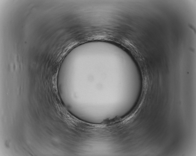 X0000102521353200808081020