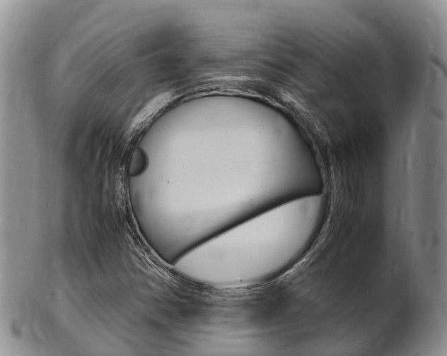 X0000102521354200808081020