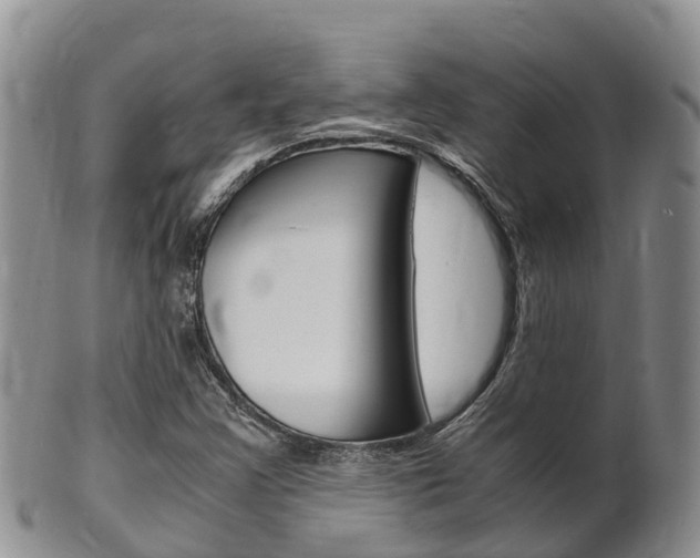 X0000102521355200808081020
