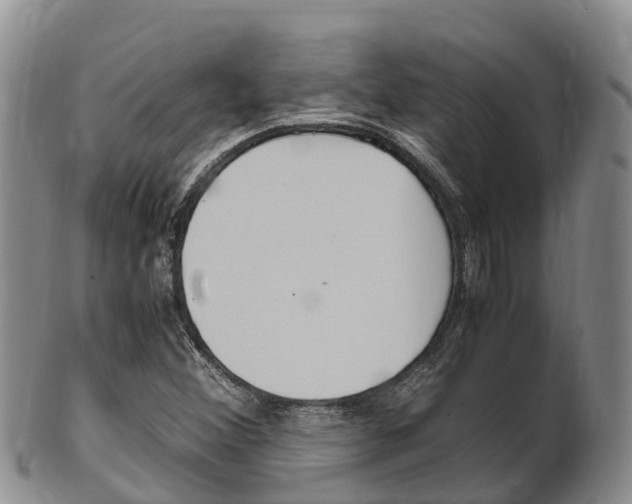 X0000102521356200808081020