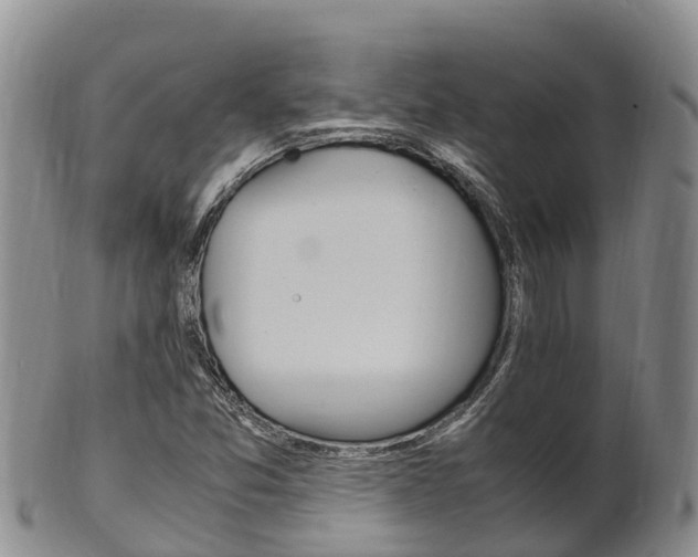 X0000102521357200808081020