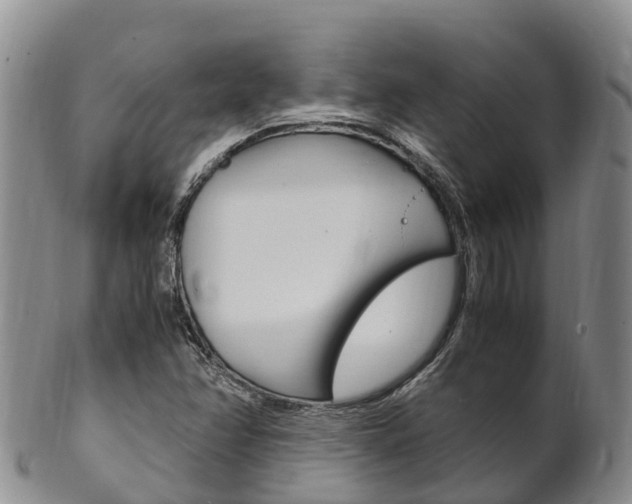 X0000102521358200808081020