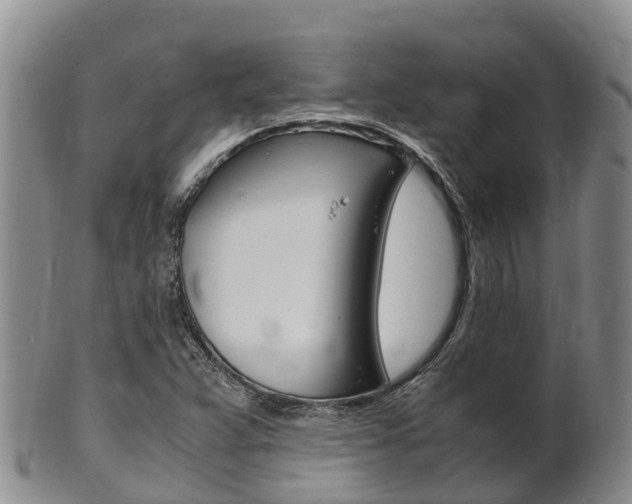 X0000102521359200808081020