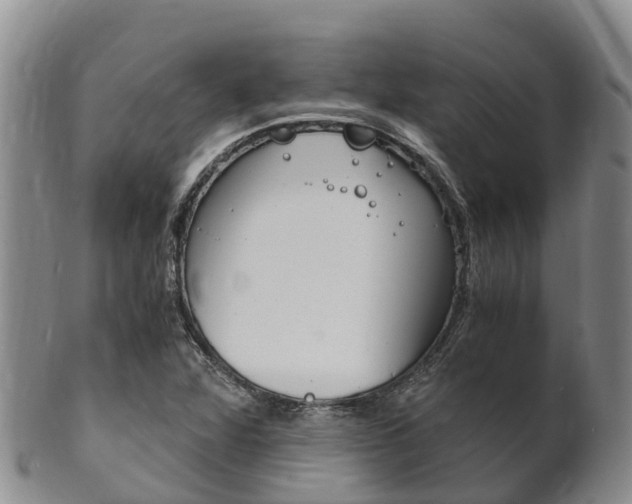 X0000102521360200808081020
