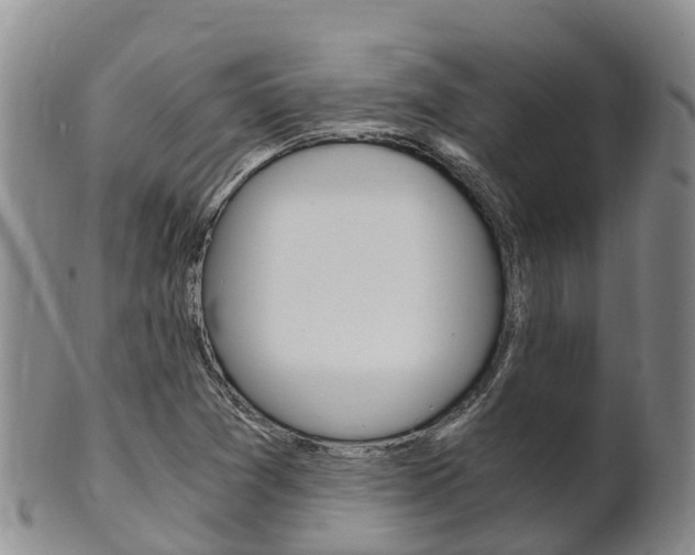 X0000102521361200808081020