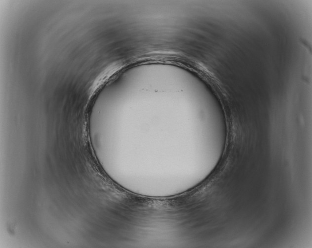 X0000102521362200808081020