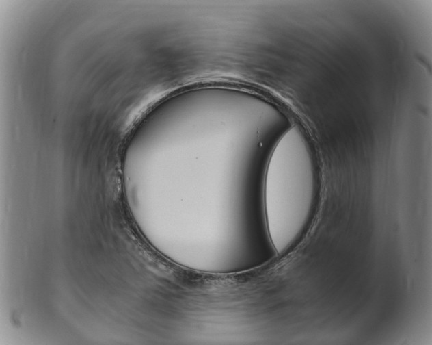 X0000102521363200808081020