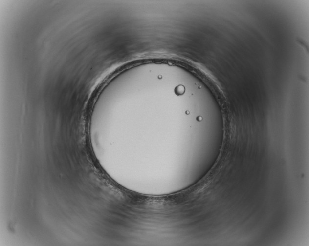 X0000102521364200808081020