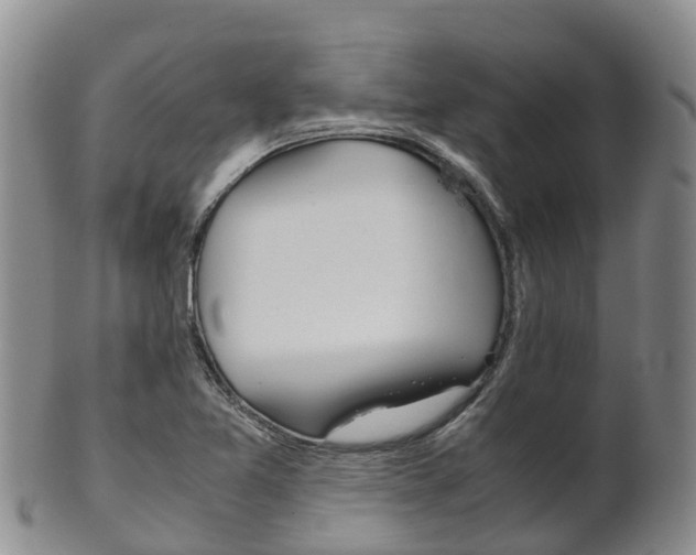 X0000102521365200808081020