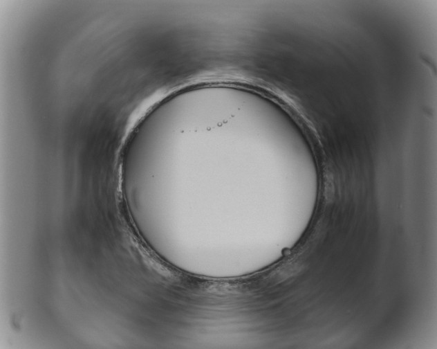 X0000102521366200808081020