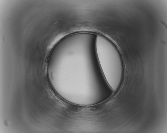 X0000102521367200808081020
