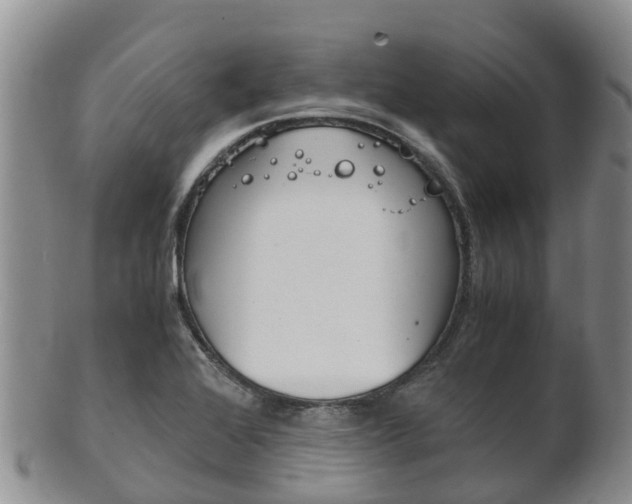 X0000102521368200808081020
