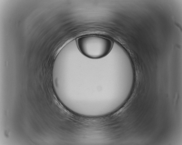 X0000102521369200808081020