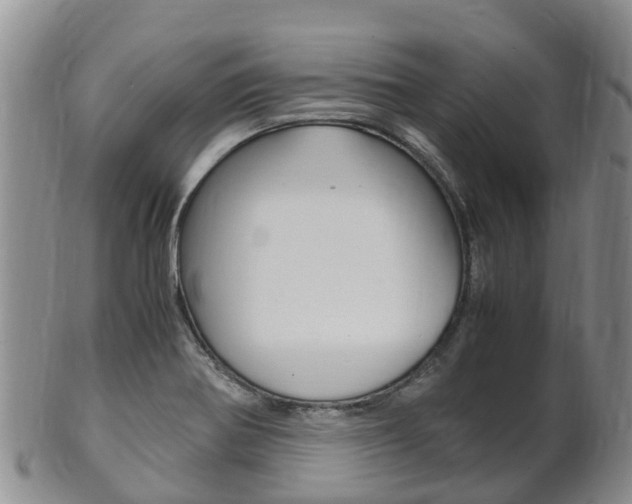 X0000102521370200808081020