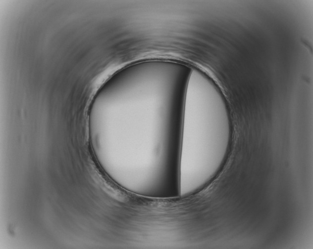 X0000102521371200808081020