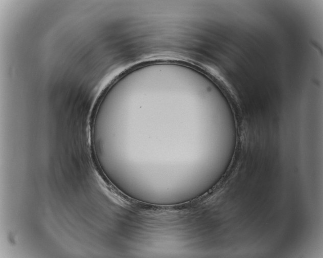 X0000102521372200808081020