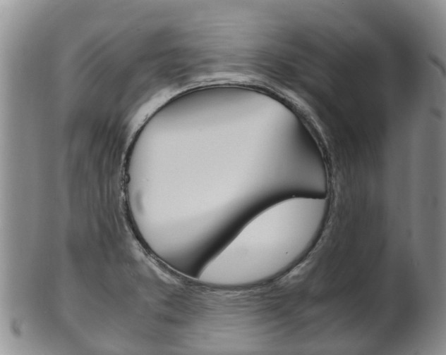 X0000102521373200808081020