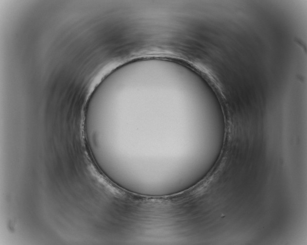 X0000102521374200808081020