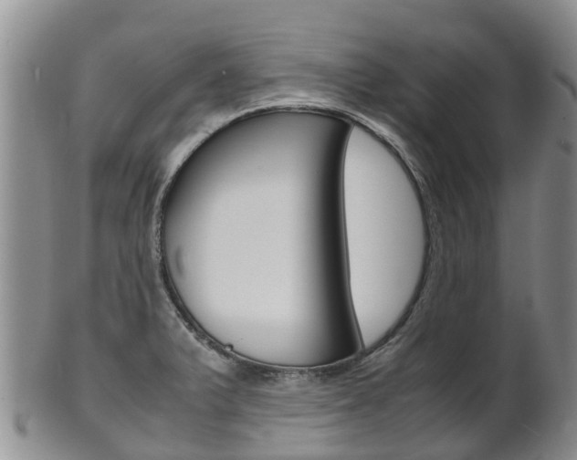 X0000102521375200808081020