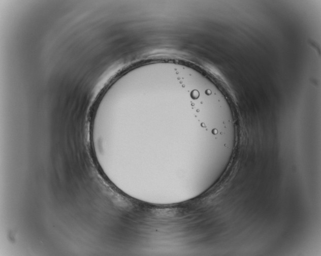 X0000102521376200808081020