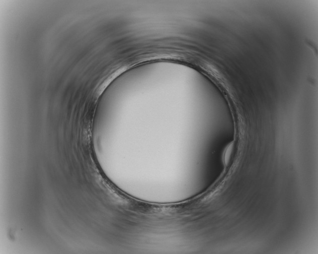 X0000102521377200808081020