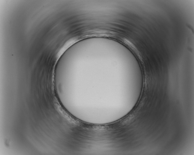 X0000102521378200808081020