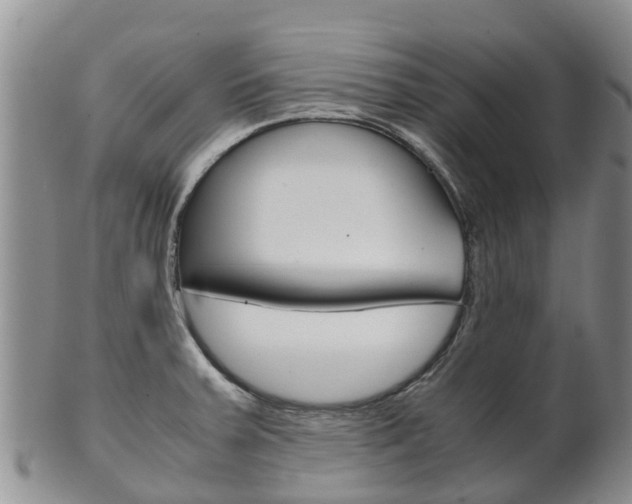 X0000102521379200808081020