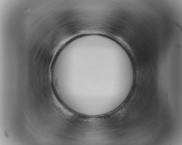 X0000102521380200808081020
