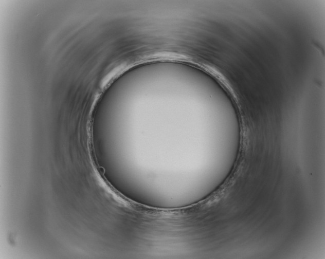 X0000102521381200808081020