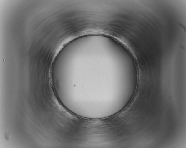 X0000102521382200808081020